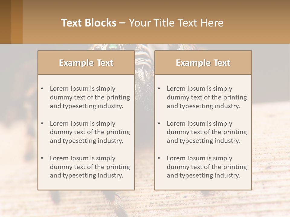 Nature Relations Fly PowerPoint Template