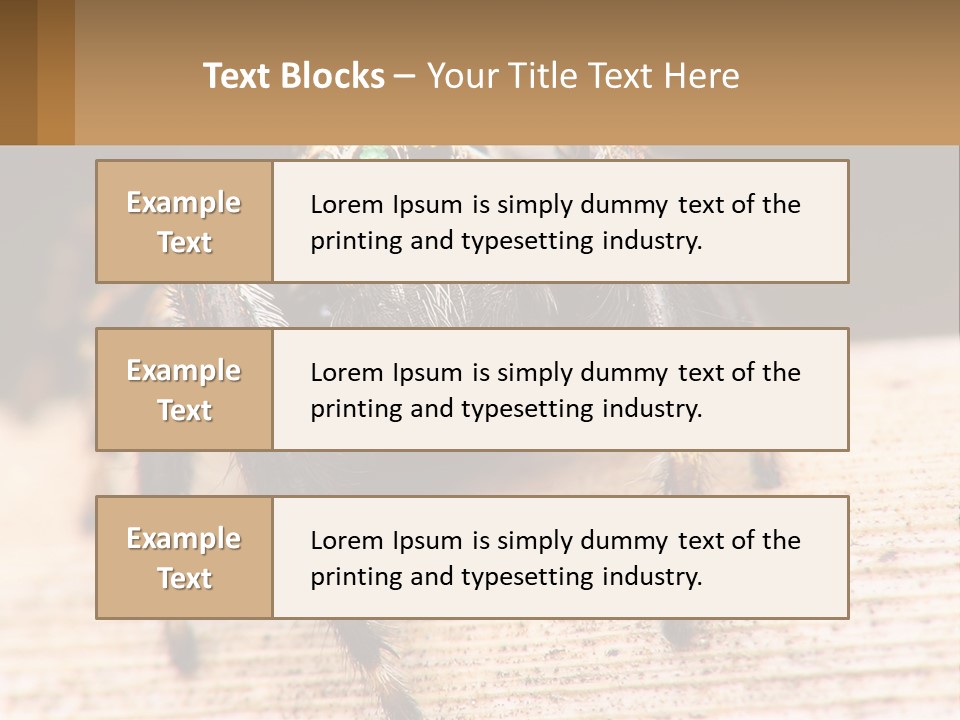 Nature Relations Fly PowerPoint Template