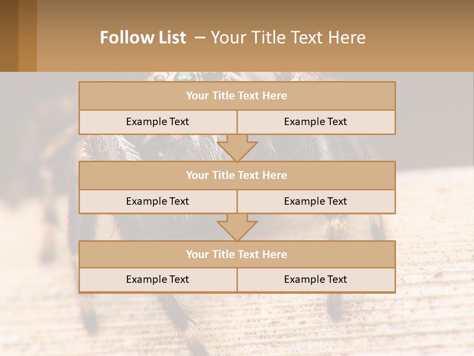 Nature Relations Fly PowerPoint Template