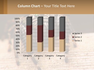 Nature Relations Fly PowerPoint Template