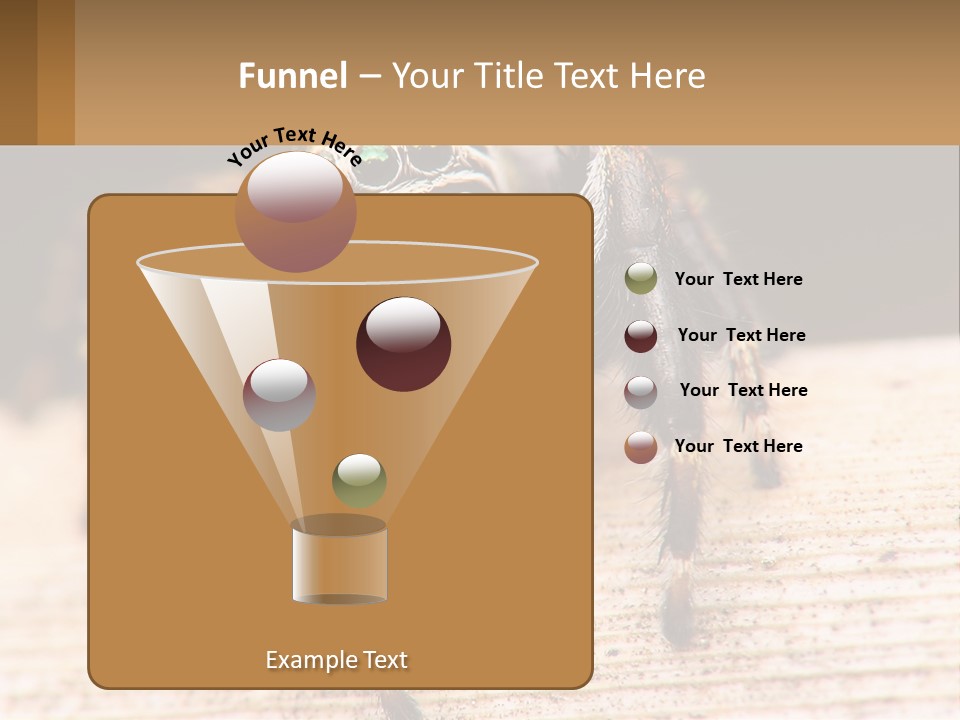 Nature Relations Fly PowerPoint Template