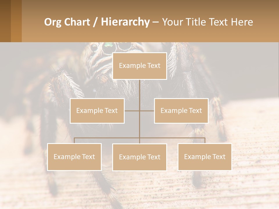 Nature Relations Fly PowerPoint Template