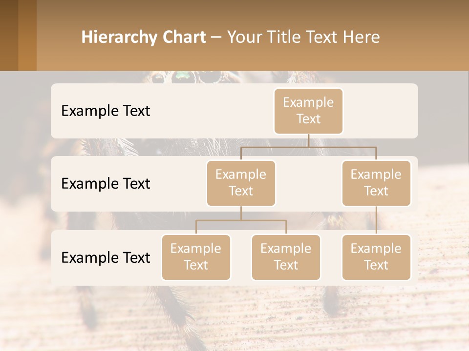 Nature Relations Fly PowerPoint Template