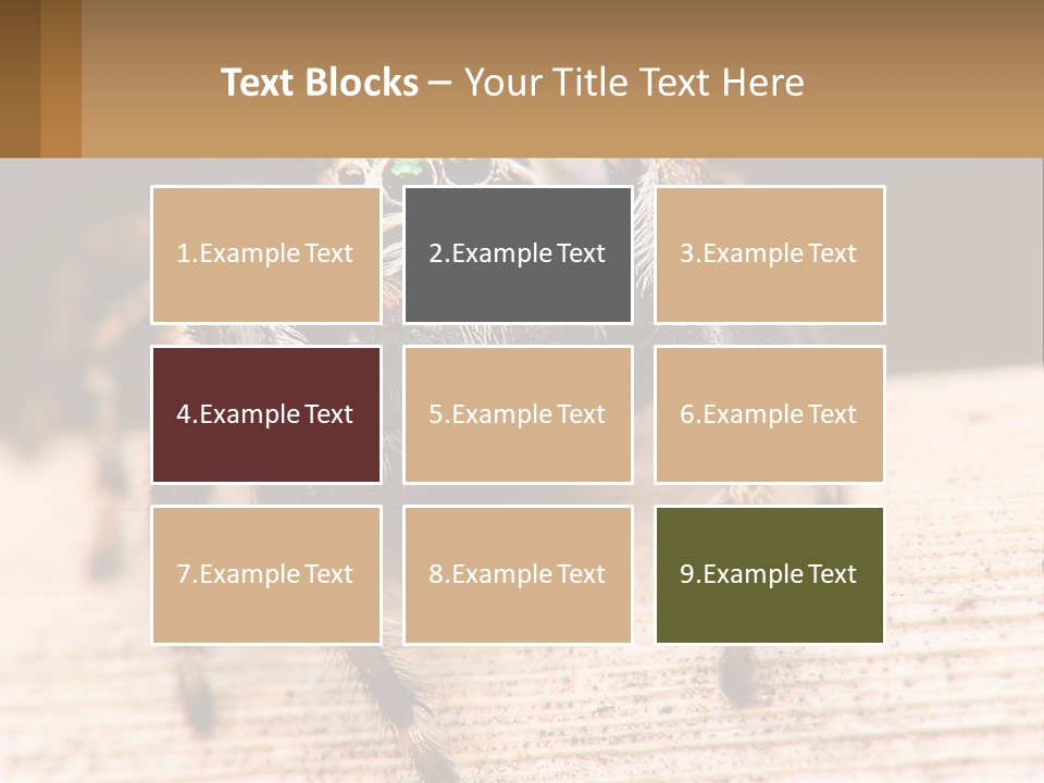 Nature Relations Fly PowerPoint Template
