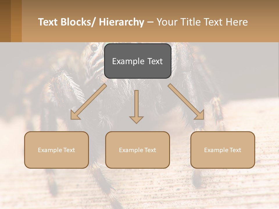 Nature Relations Fly PowerPoint Template