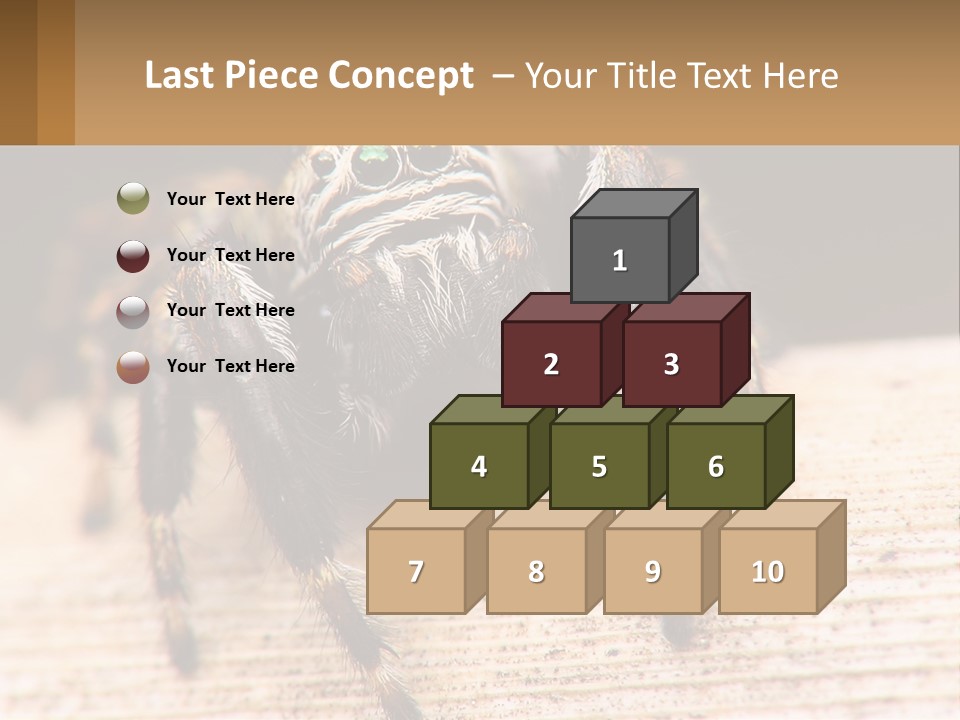 Nature Relations Fly PowerPoint Template