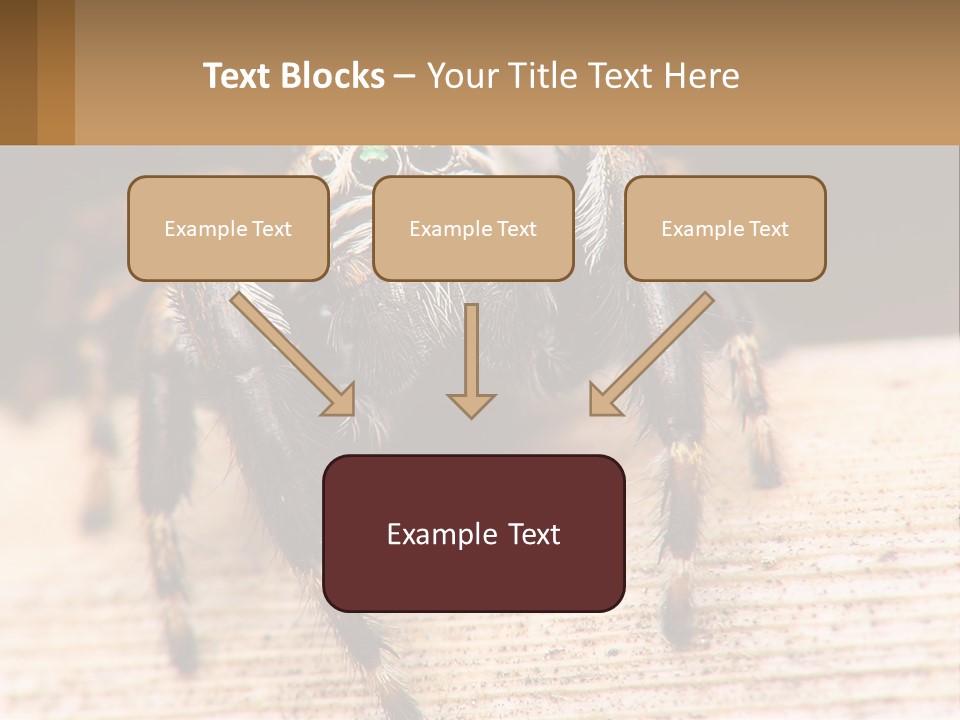 Nature Relations Fly PowerPoint Template