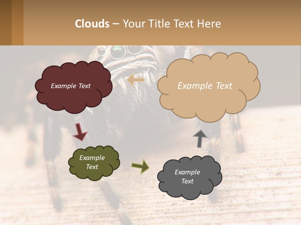 Nature Relations Fly PowerPoint Template