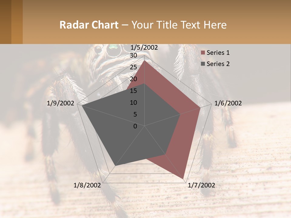 Nature Relations Fly PowerPoint Template