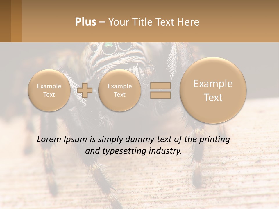 Nature Relations Fly PowerPoint Template