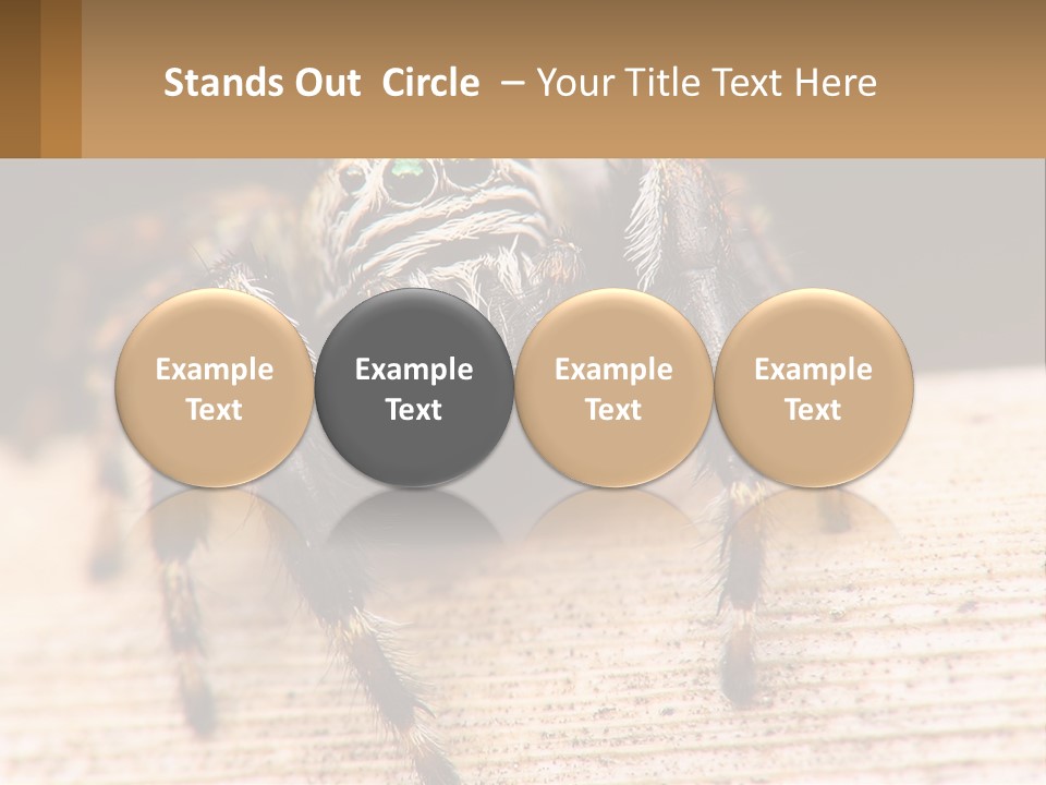 Nature Relations Fly PowerPoint Template