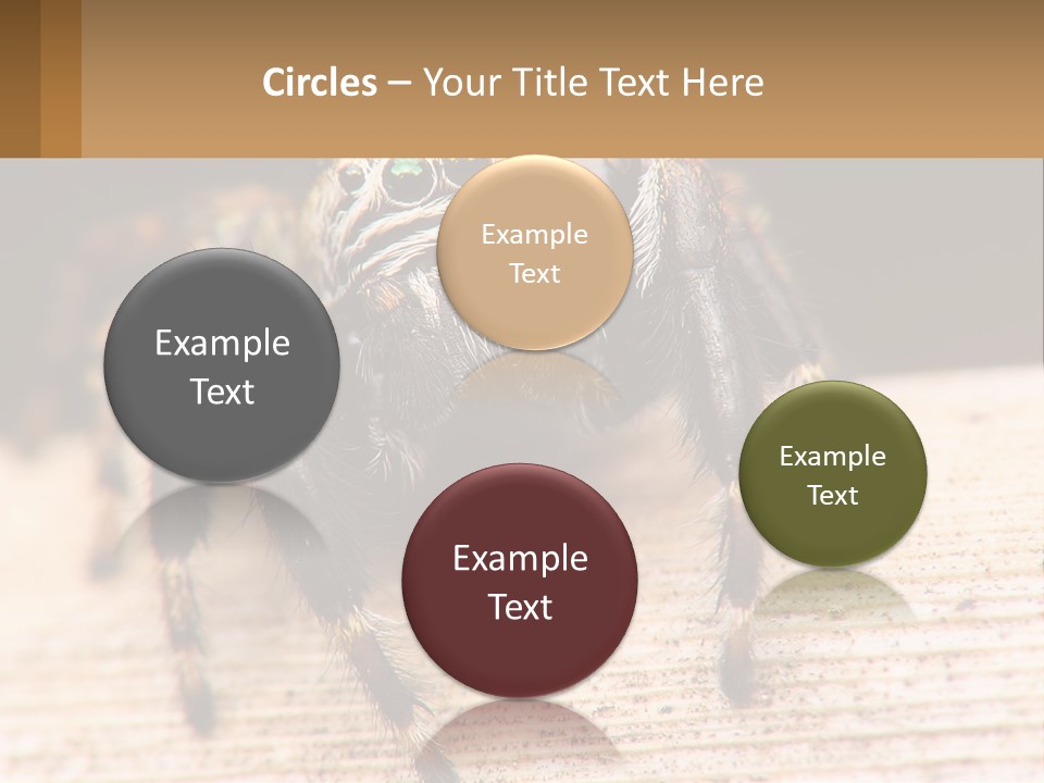 Nature Relations Fly PowerPoint Template