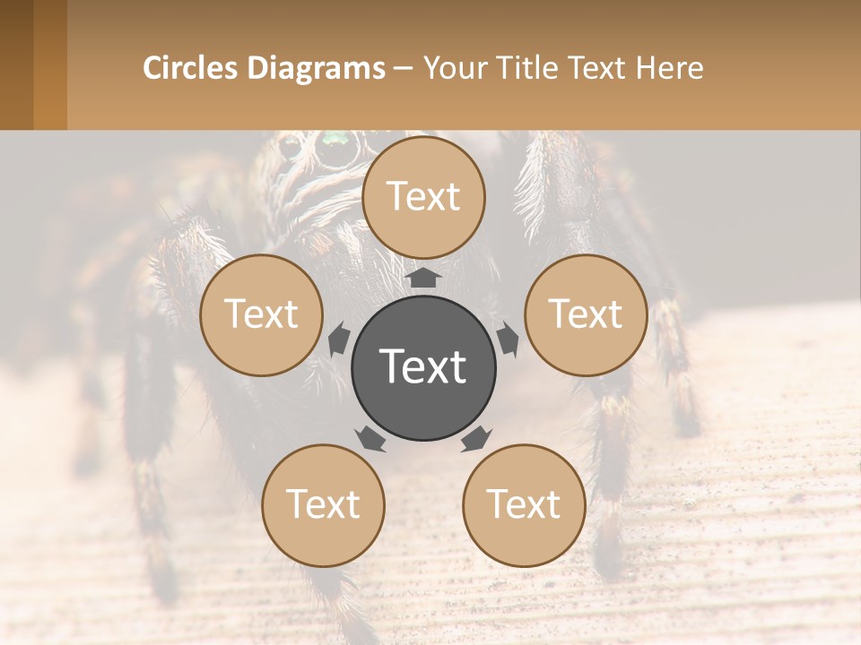 Nature Relations Fly PowerPoint Template