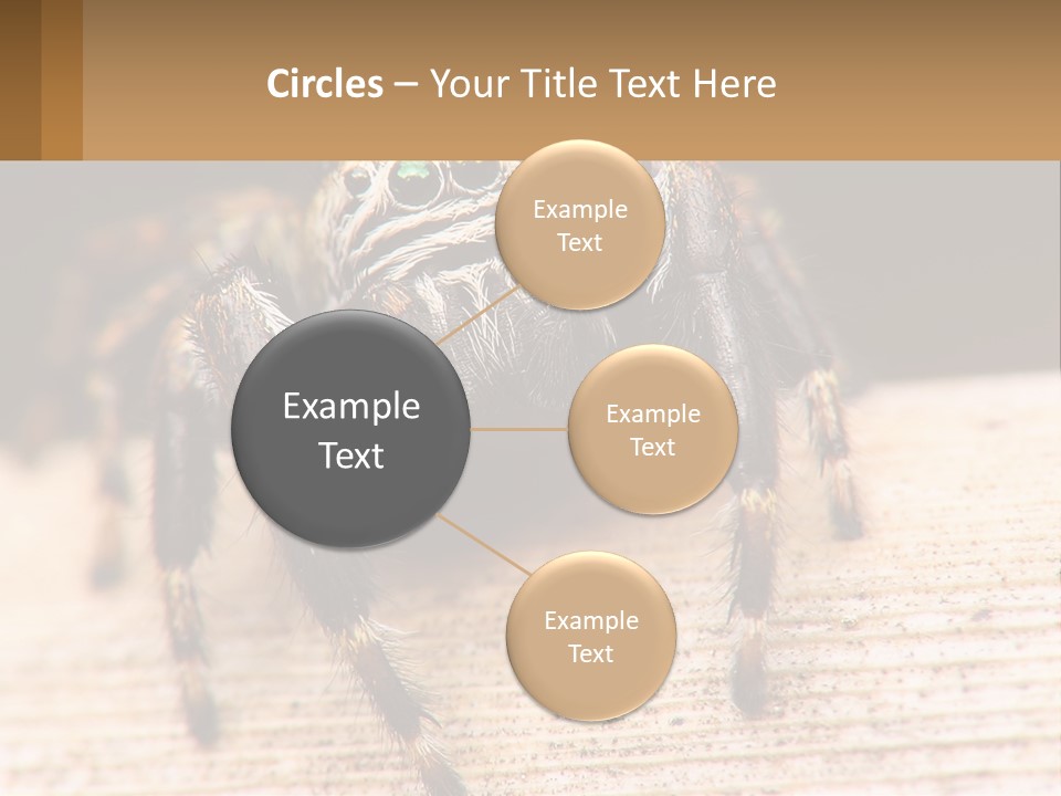 Nature Relations Fly PowerPoint Template