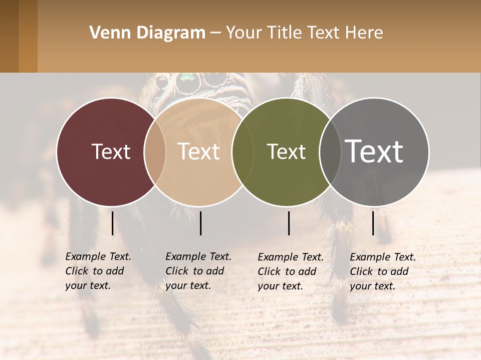 Nature Relations Fly PowerPoint Template