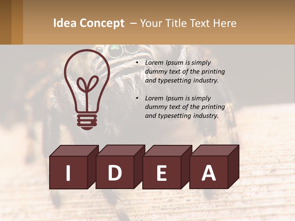 Nature Relations Fly PowerPoint Template