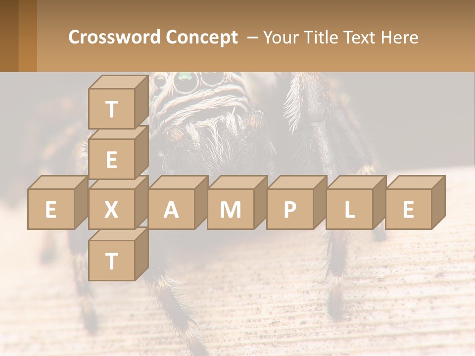 Nature Relations Fly PowerPoint Template