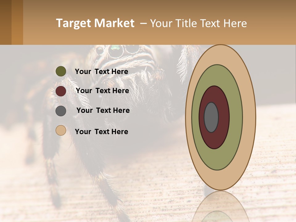 Nature Relations Fly PowerPoint Template