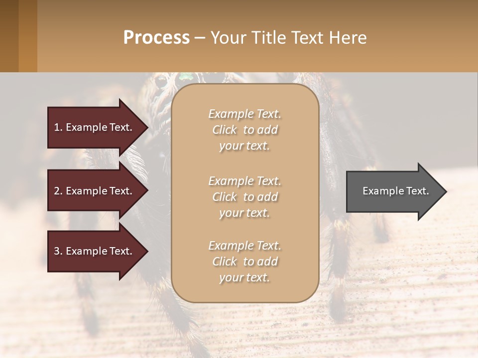 Nature Relations Fly PowerPoint Template