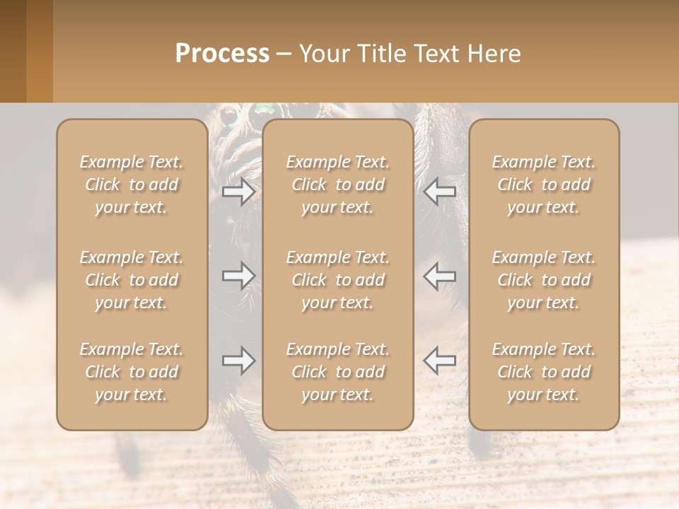 Nature Relations Fly PowerPoint Template