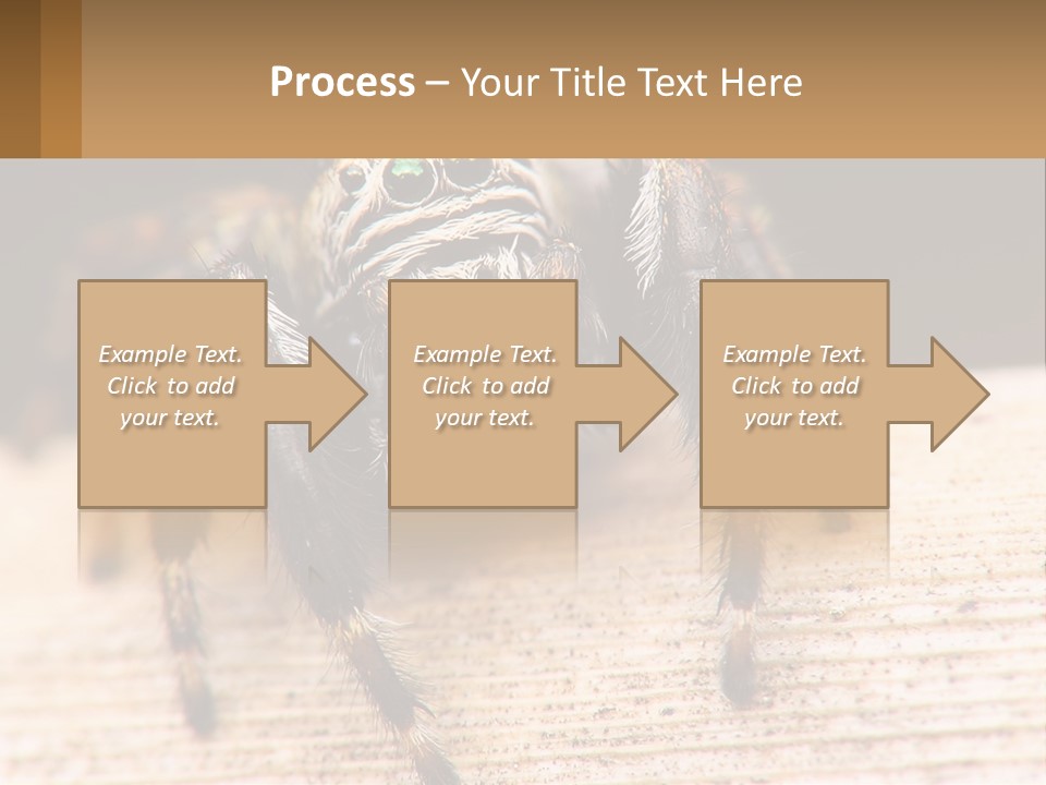 Nature Relations Fly PowerPoint Template