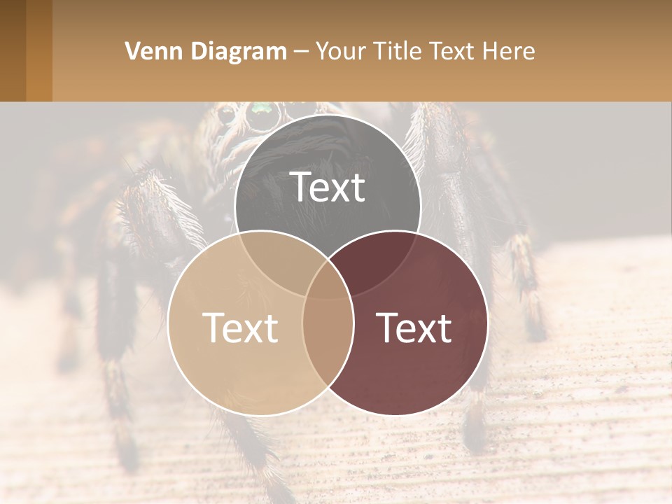 Nature Relations Fly PowerPoint Template