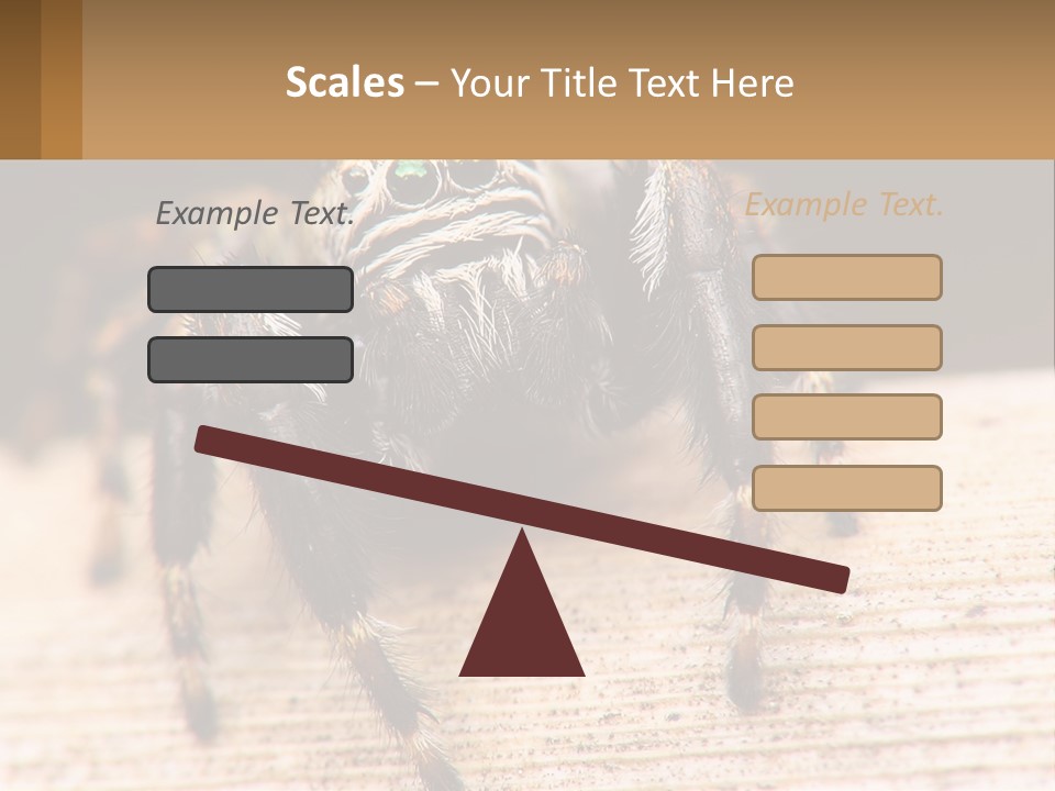Nature Relations Fly PowerPoint Template