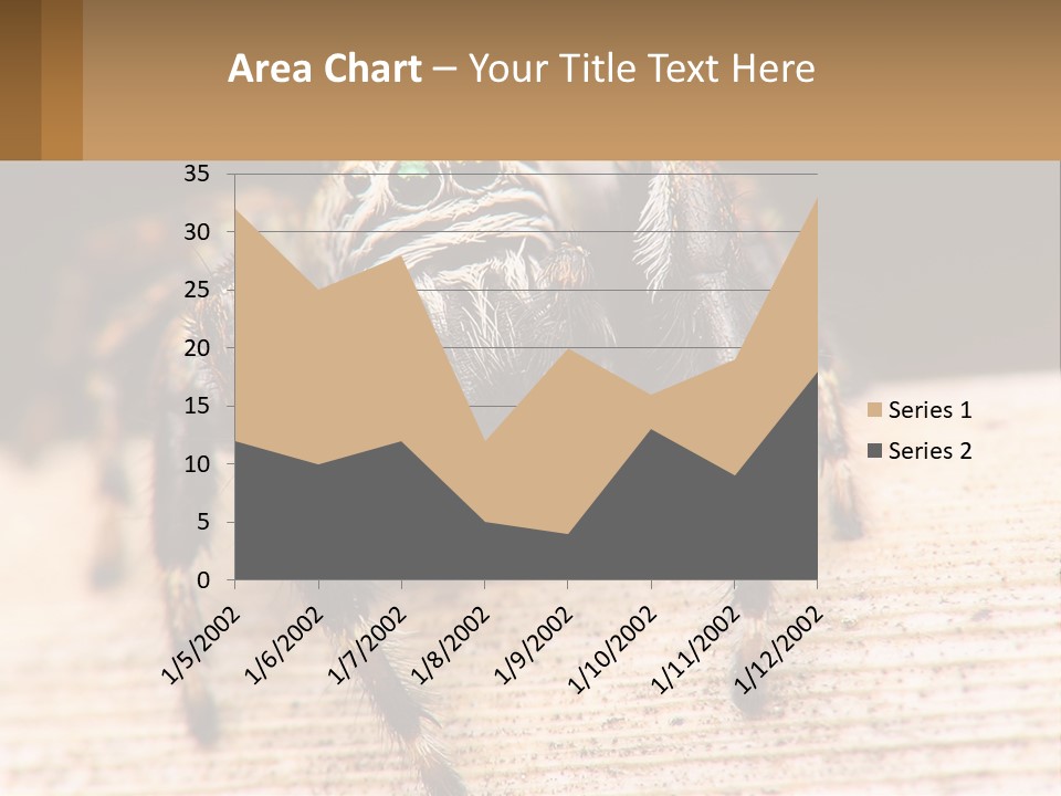 Nature Relations Fly PowerPoint Template