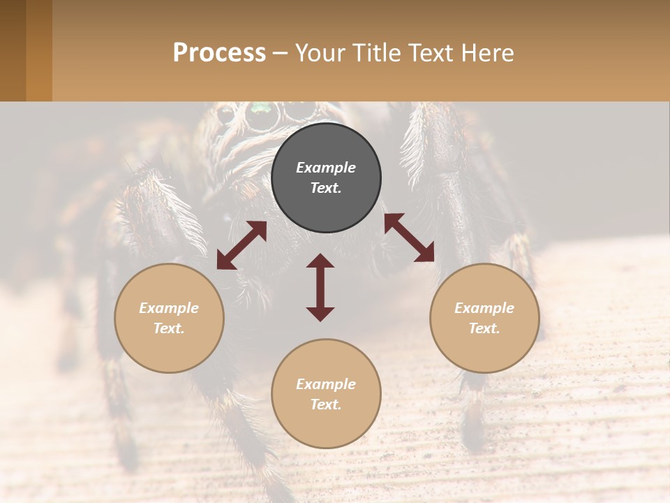 Nature Relations Fly PowerPoint Template