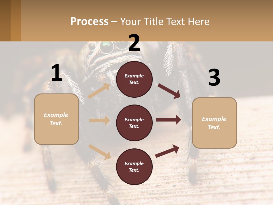 Nature Relations Fly PowerPoint Template