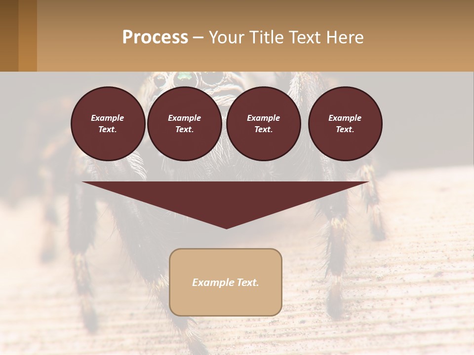 Nature Relations Fly PowerPoint Template