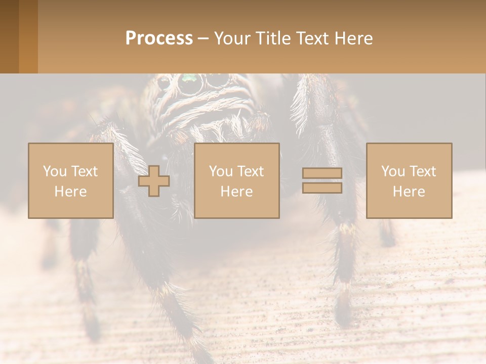 Nature Relations Fly PowerPoint Template