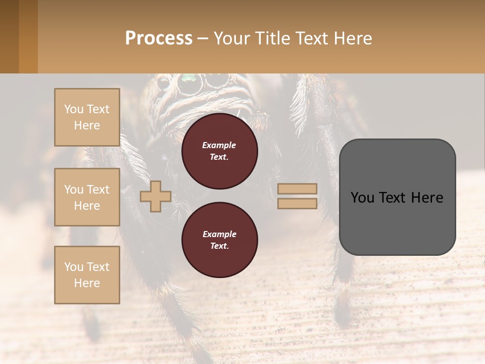Nature Relations Fly PowerPoint Template