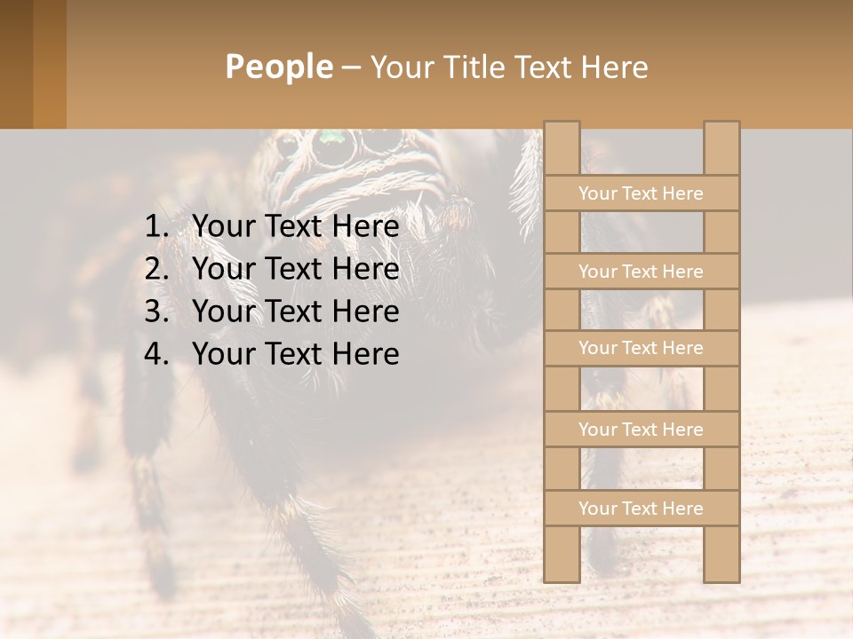 Nature Relations Fly PowerPoint Template