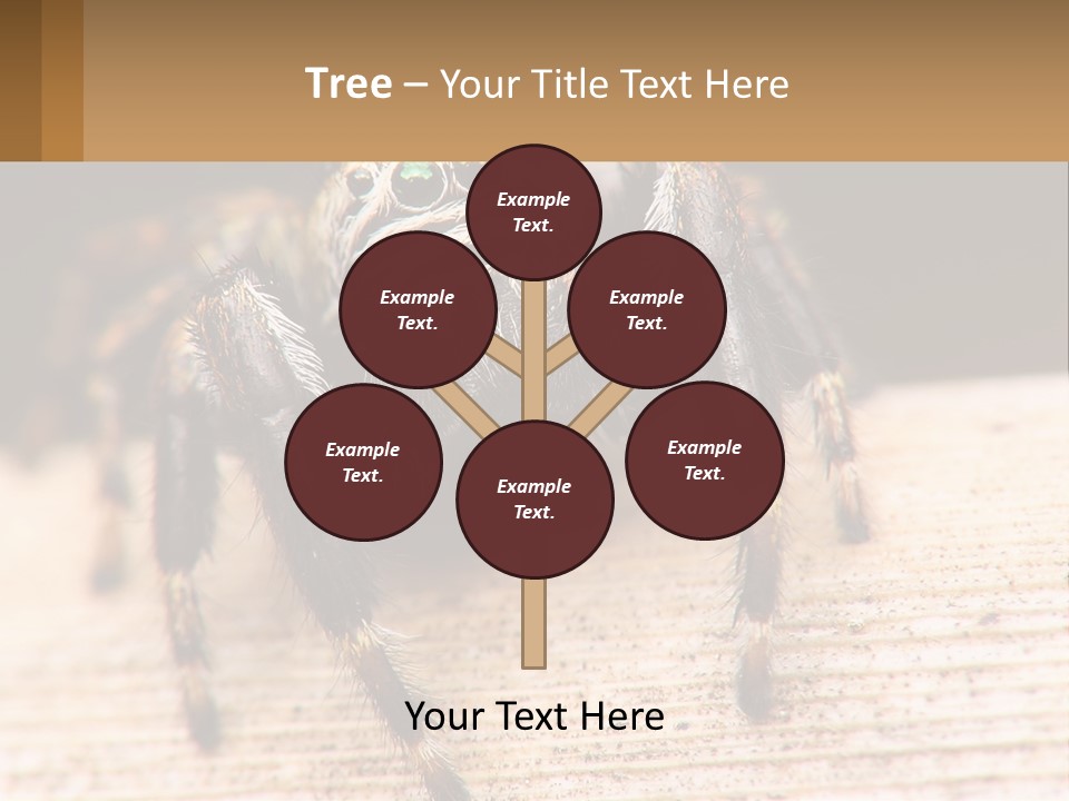 Nature Relations Fly PowerPoint Template