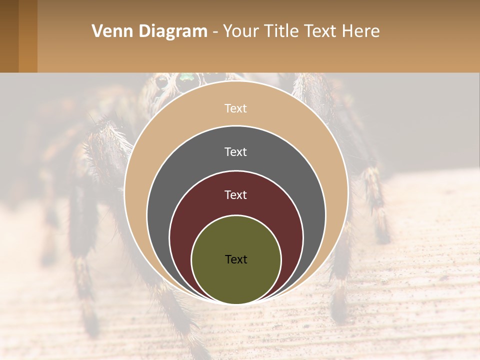 Nature Relations Fly PowerPoint Template