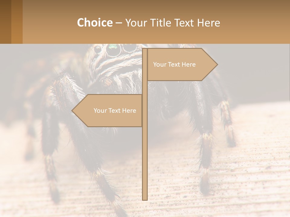 Nature Relations Fly PowerPoint Template