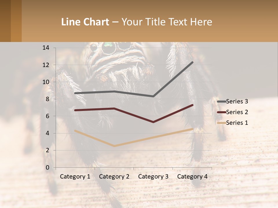 Nature Relations Fly PowerPoint Template