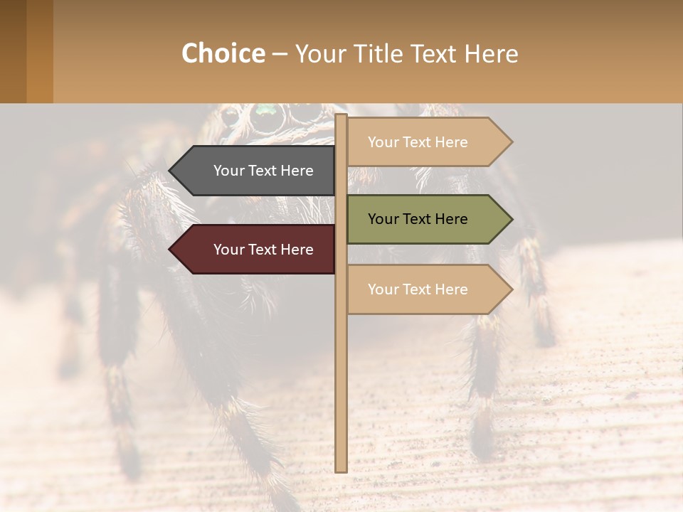 Nature Relations Fly PowerPoint Template