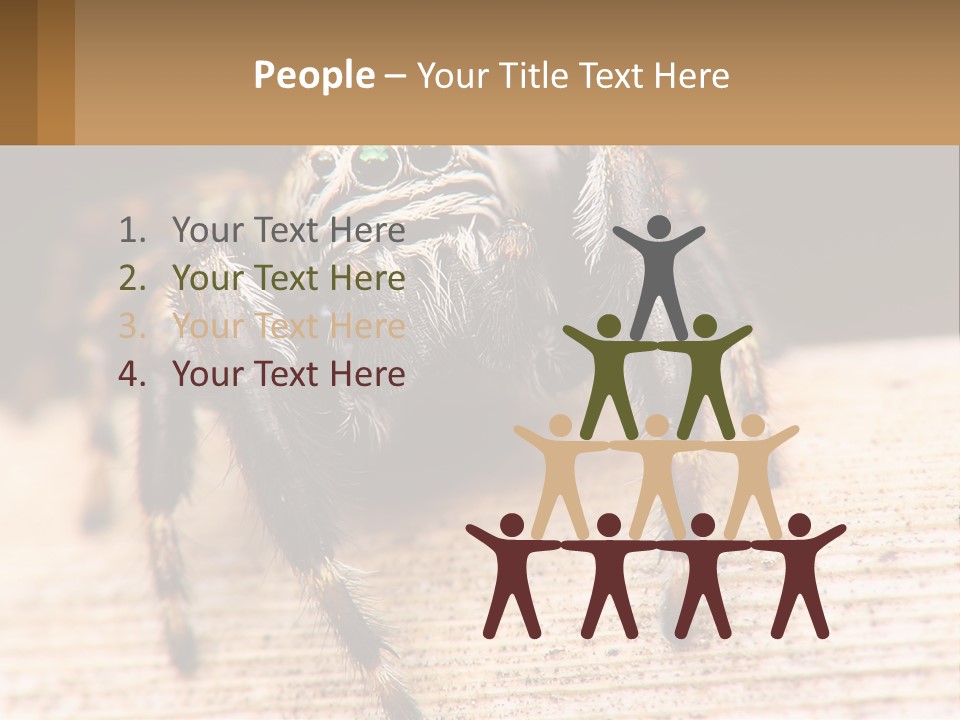 Nature Relations Fly PowerPoint Template