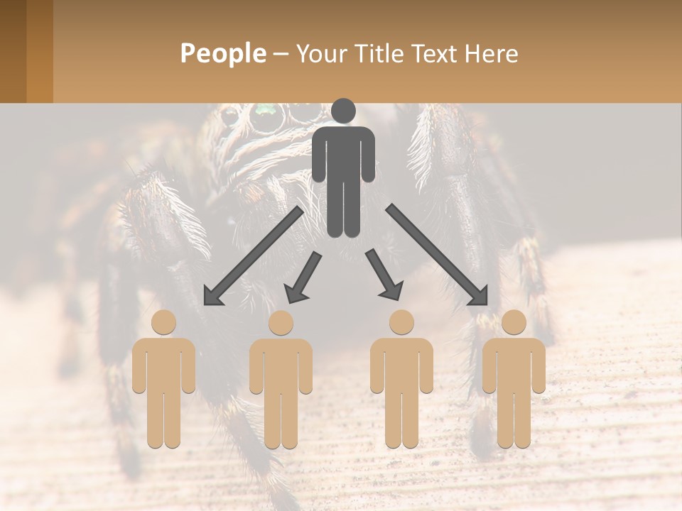 Nature Relations Fly PowerPoint Template