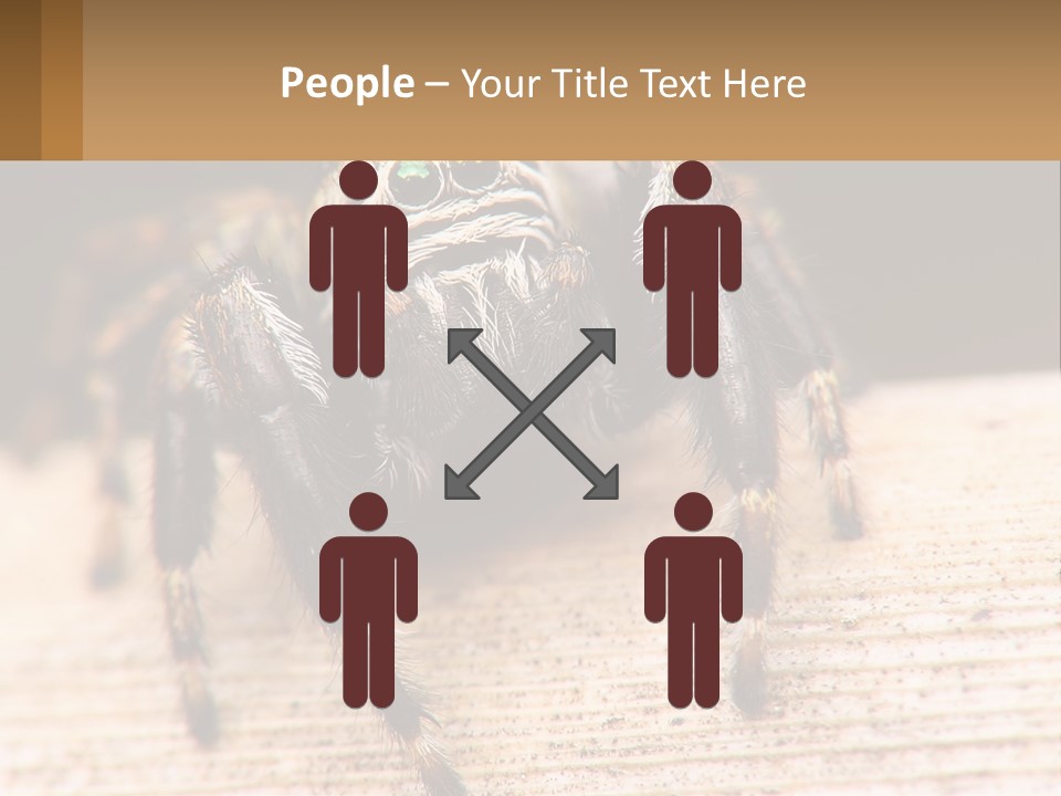 Nature Relations Fly PowerPoint Template