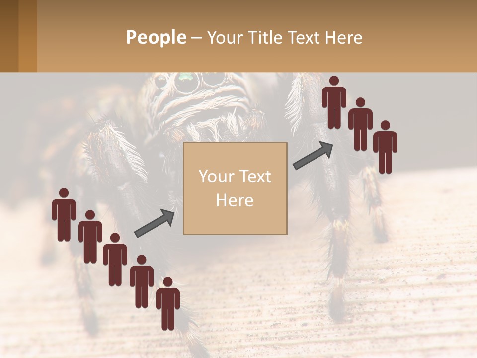 Nature Relations Fly PowerPoint Template