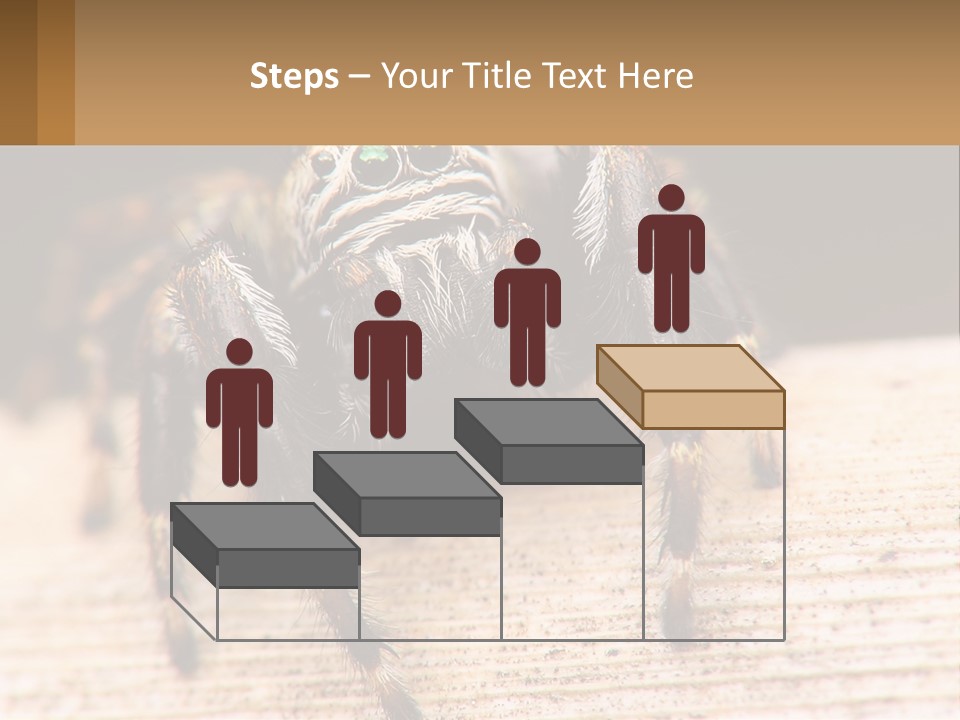 Nature Relations Fly PowerPoint Template