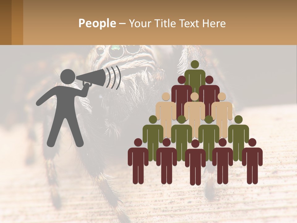 Nature Relations Fly PowerPoint Template