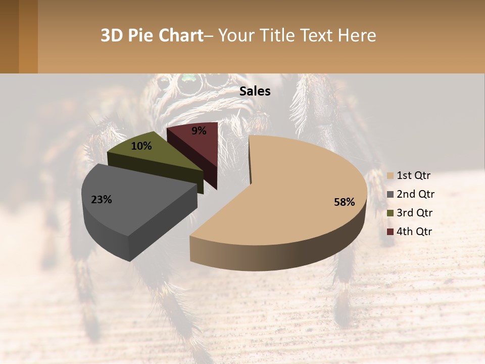 Nature Relations Fly PowerPoint Template