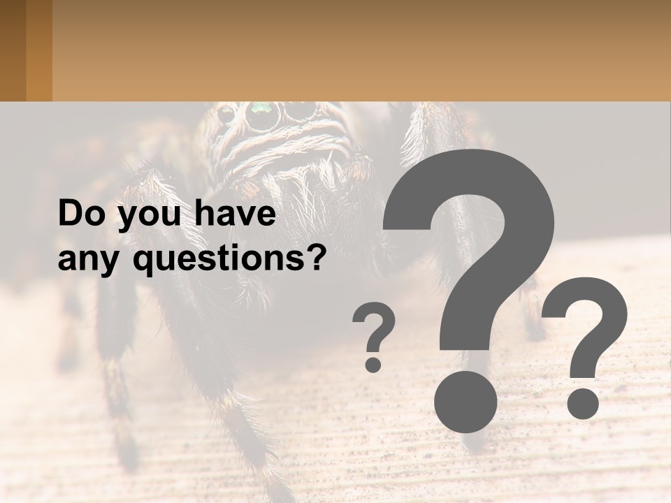 Nature Relations Fly PowerPoint Template