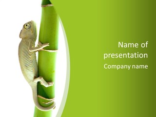 Botany Arboricole Events PowerPoint Template