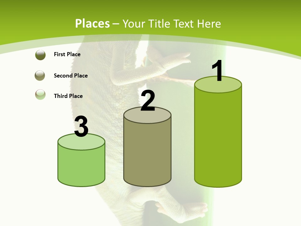 Botany Arboricole Events PowerPoint Template