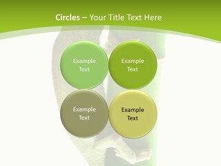 Botany Arboricole Events PowerPoint Template